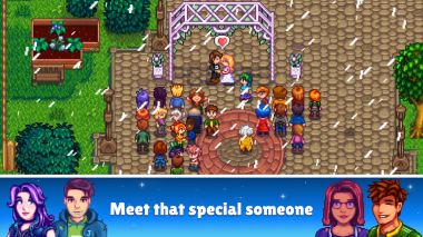 Stardew Valley Stardew Valley
