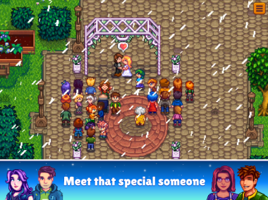 Stardew Valley Stardew Valley