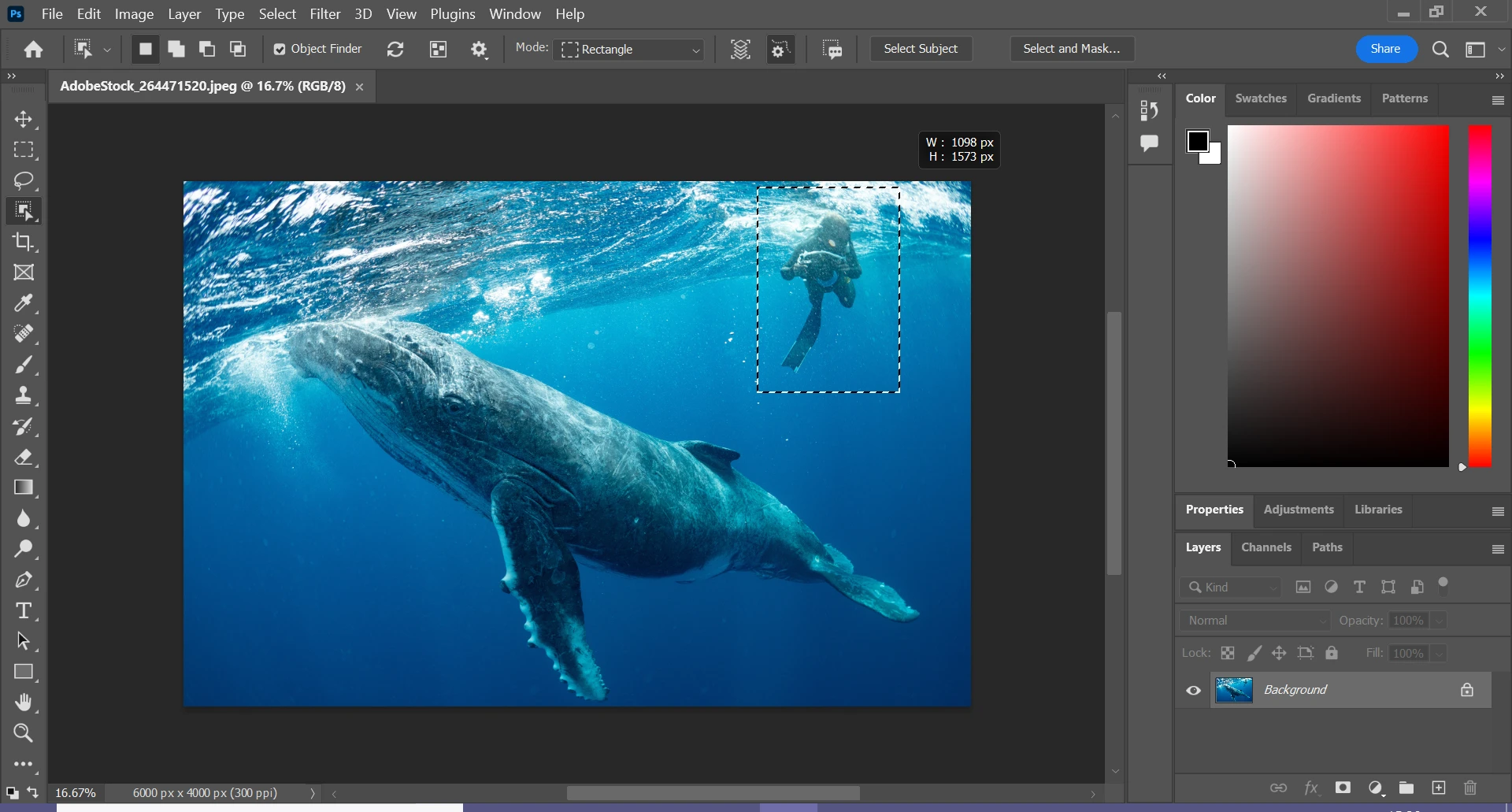 A Beginner's Guide to Adobe Photoshop Tools and Techniques